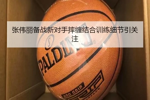 张伟丽备战新对手摔缠结合训练细节引关注